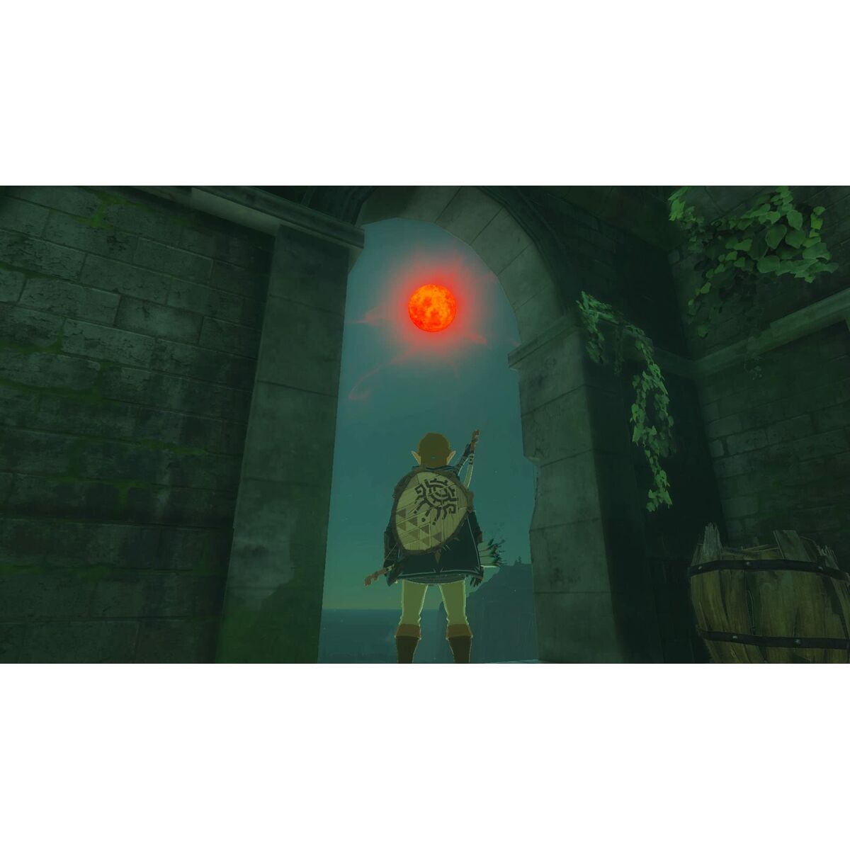 Video game for Switch Nintendo TLOZ TEA OFTKIN