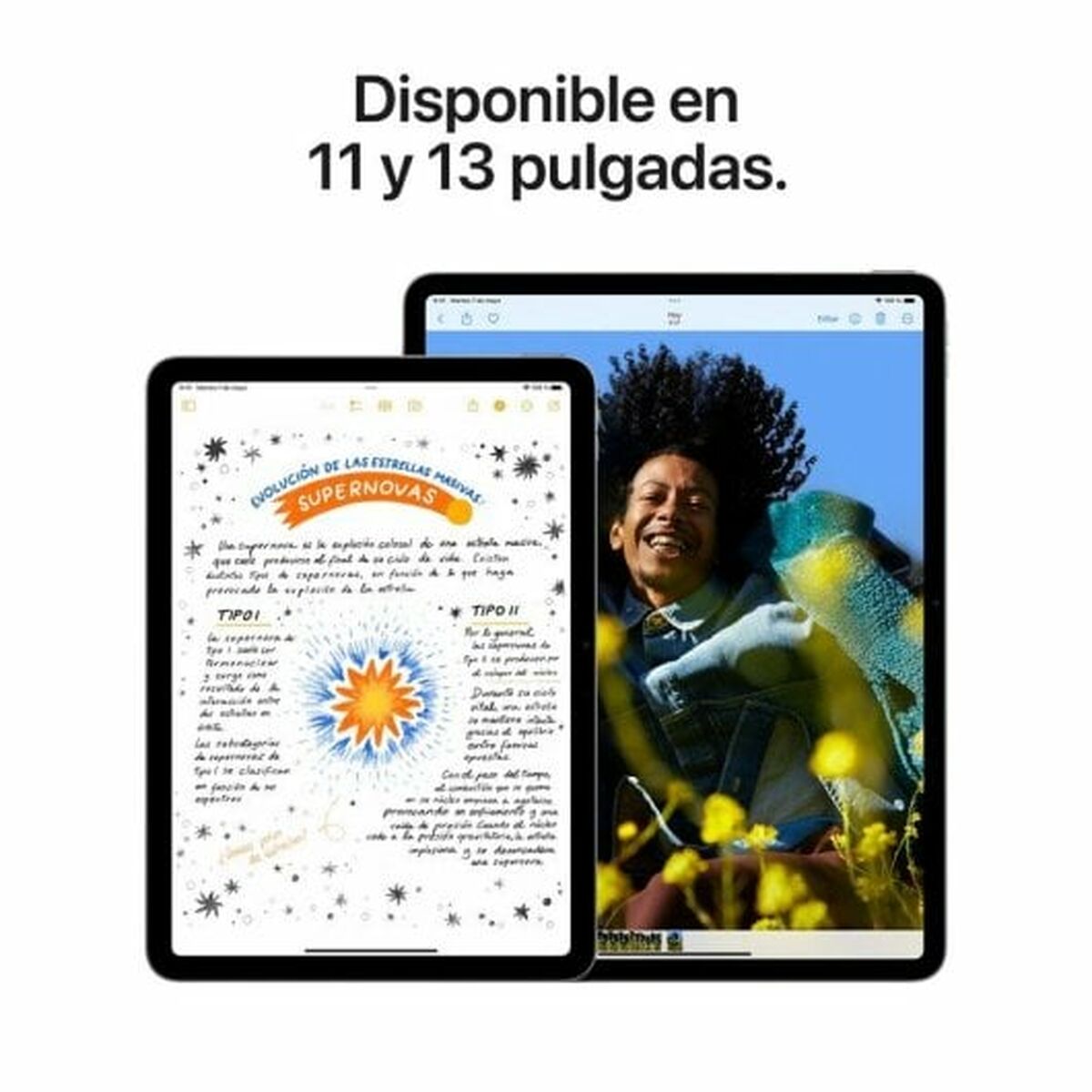 Tablet Apple iPad Air 2024 11" M2 8 GB RAM 256 GB Grey
