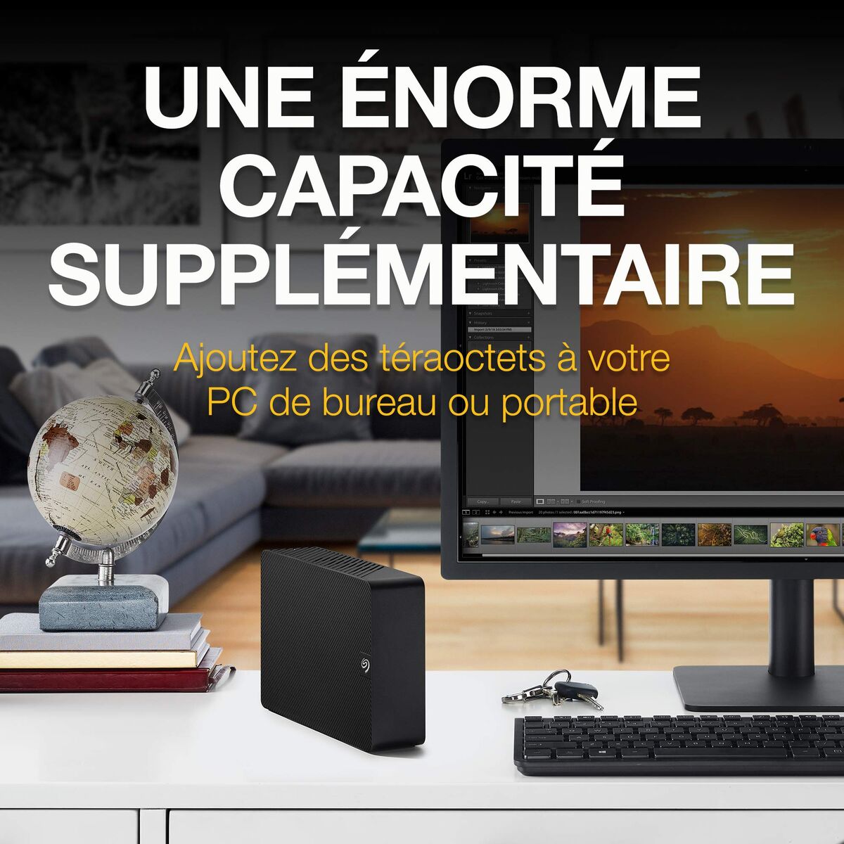 External Hard Drive Seagate STKP22000400 Black 22 TB