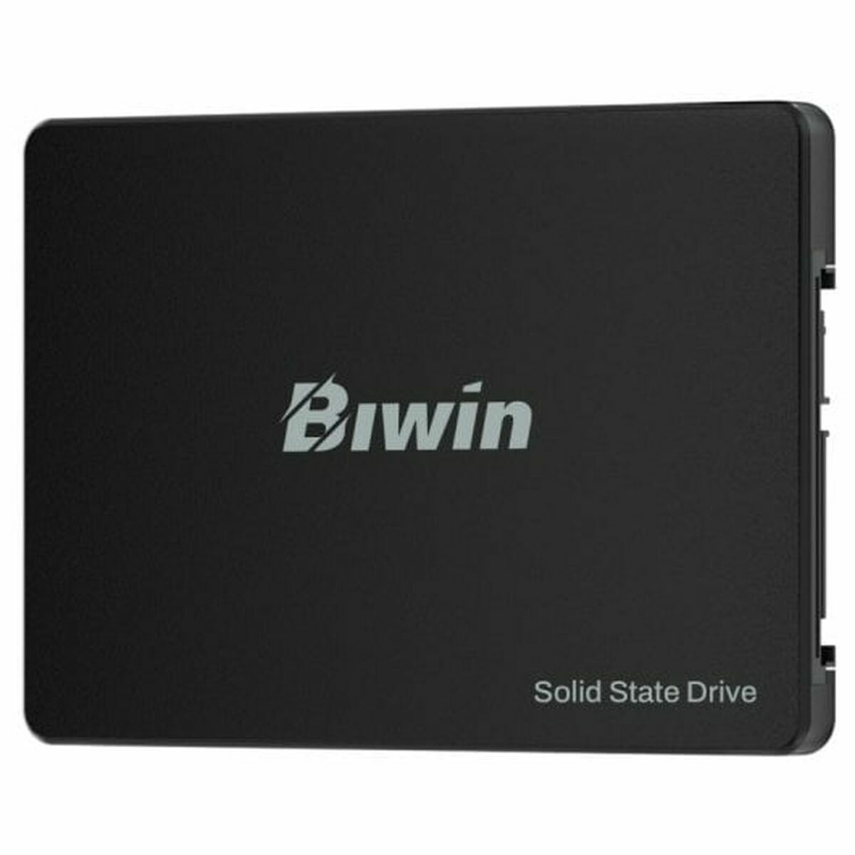 Hard Drive Biwin M100 256 GB SSD