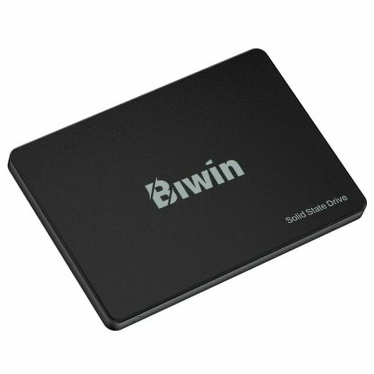 Hard Drive Biwin M100 256 GB SSD