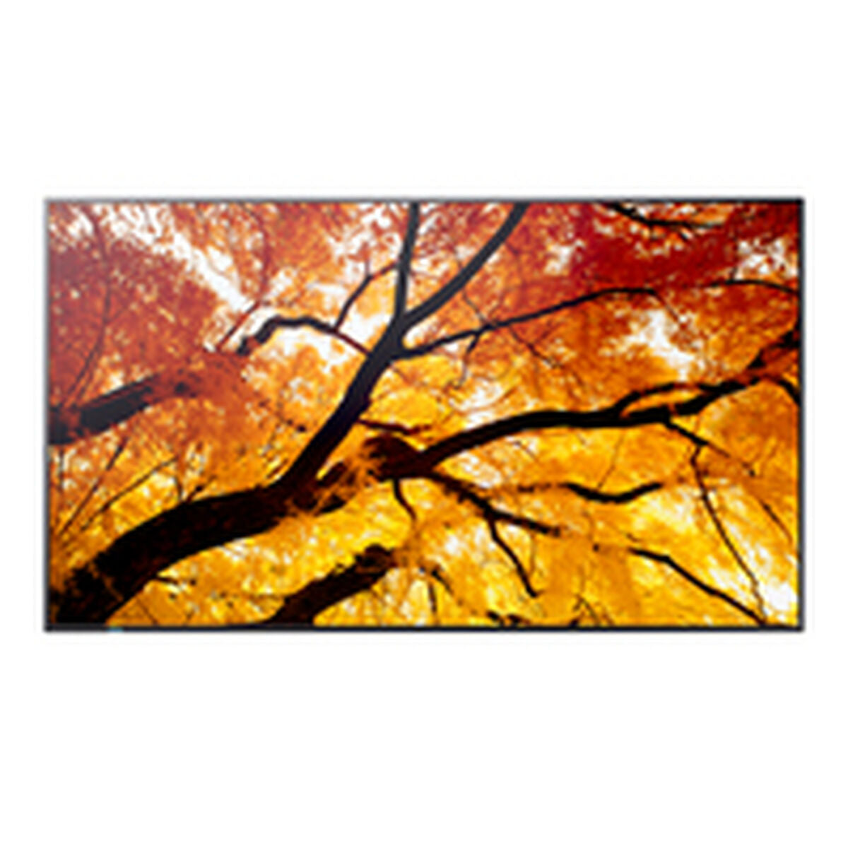 Videowall Monitor Sharp 60006053 4K Ultra HD 42,5"