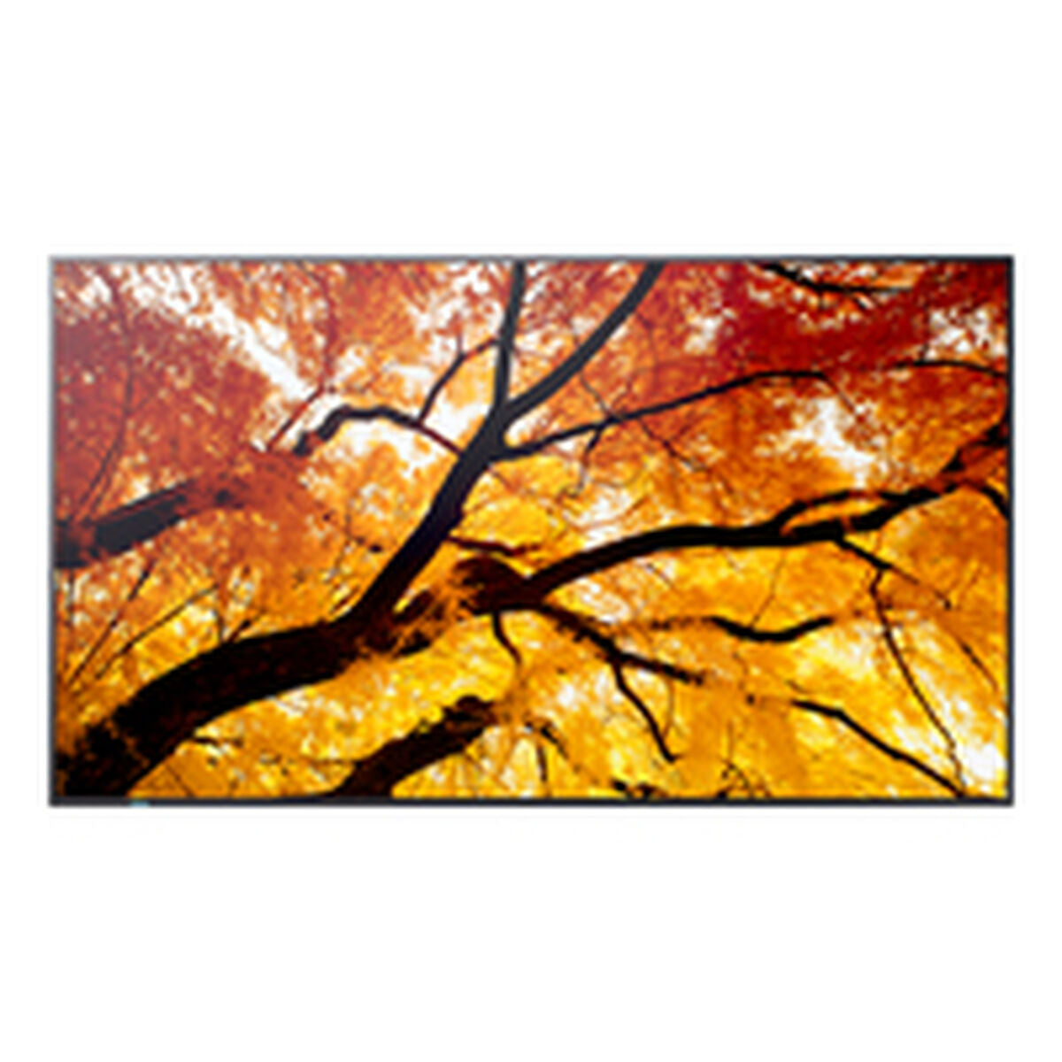 Videowall Monitor Sharp 60006058 4K Ultra HD 86"