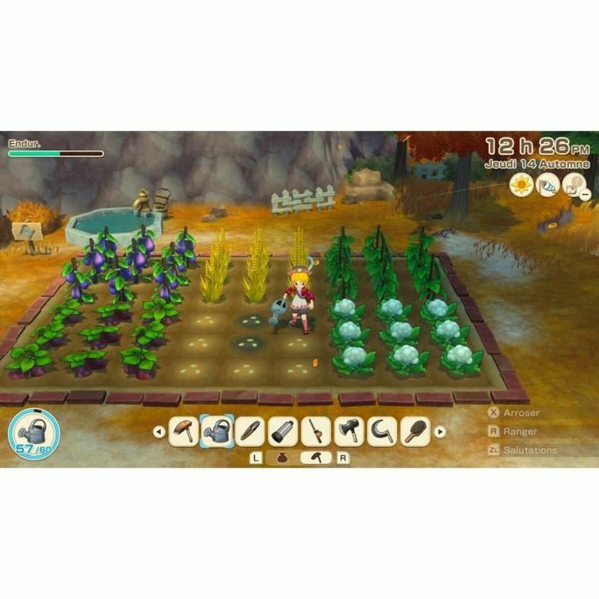 Video game for Switch Just For Games Story of Seasons Grand Bazaar : Limited Edition