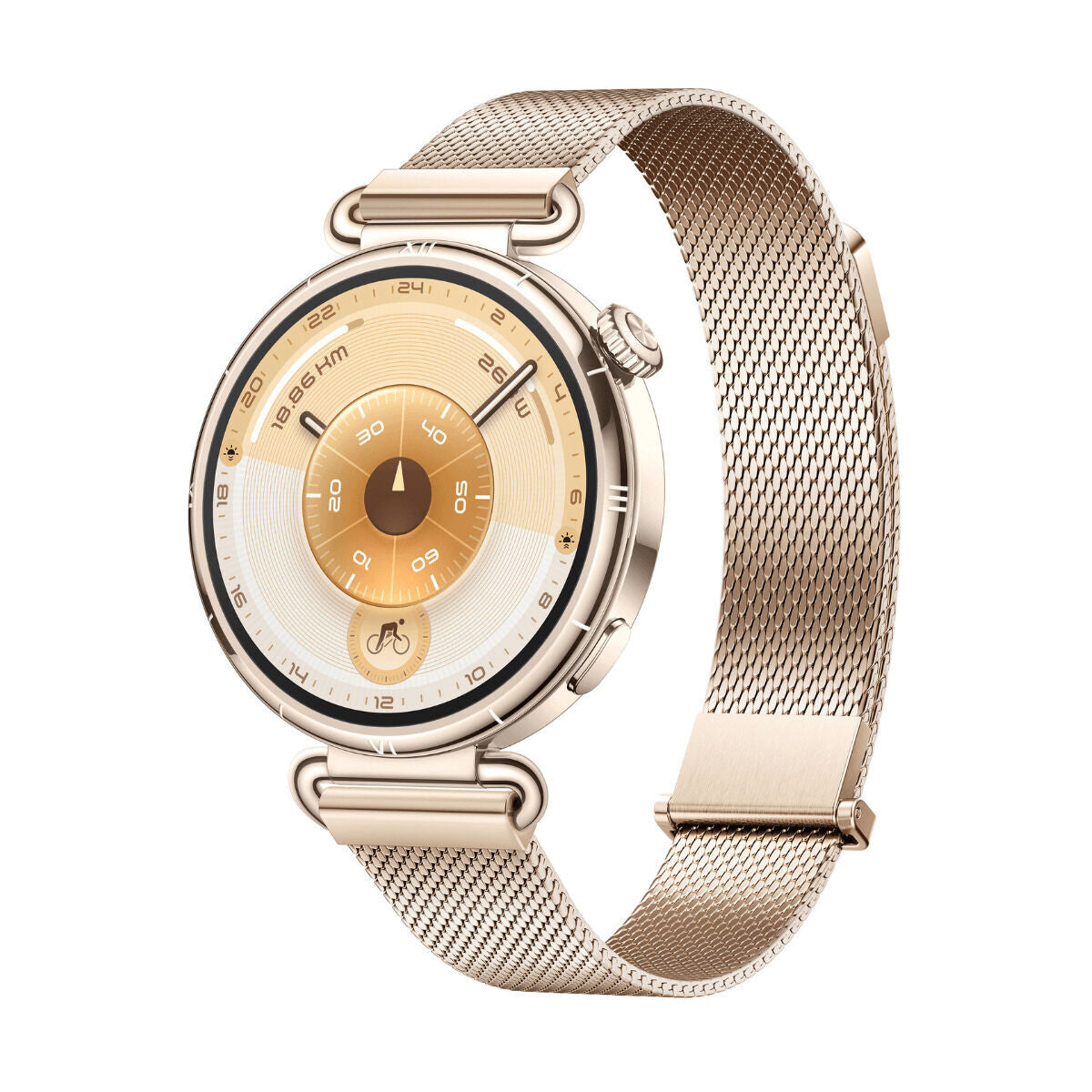 Smartwatch Huawei Watch GT 6 Konsu-B19M Golden 1,32"