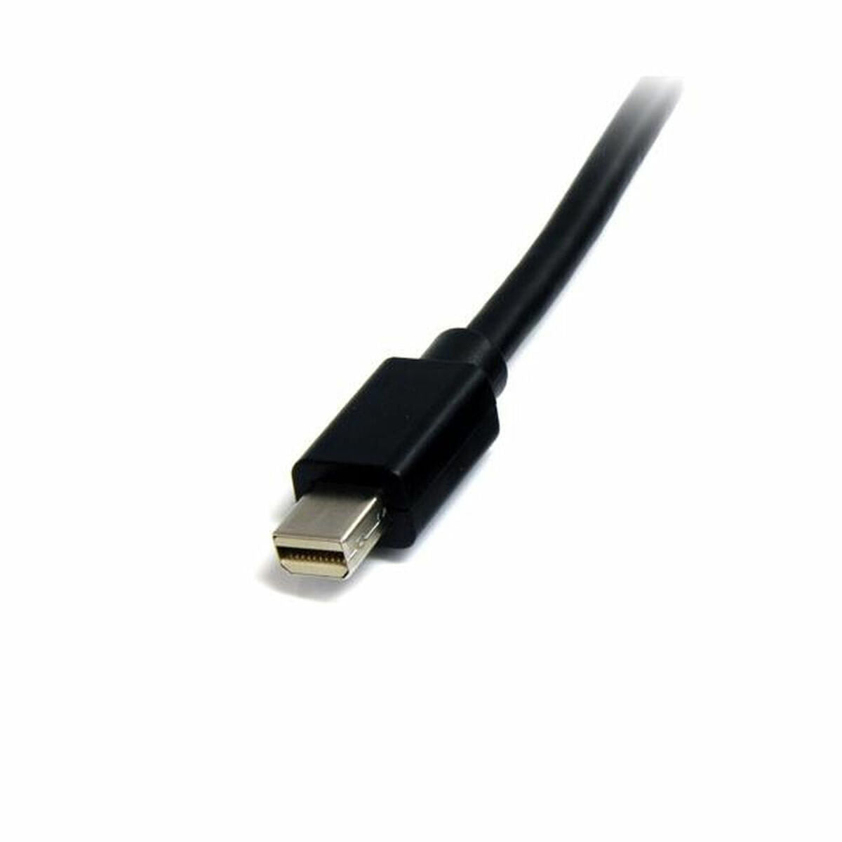 Mini Display Port cable Startech MDISP2M (2 m) 4K Ultra HD Black