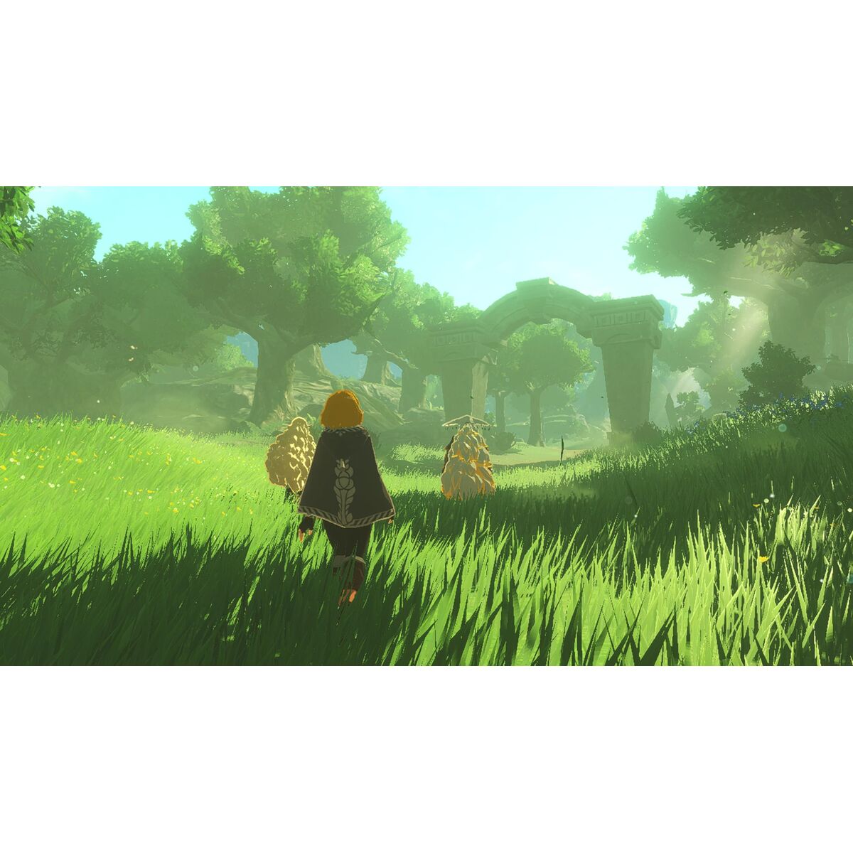 Video game for Switch 2 Nintendo HYRULE W ERA DST