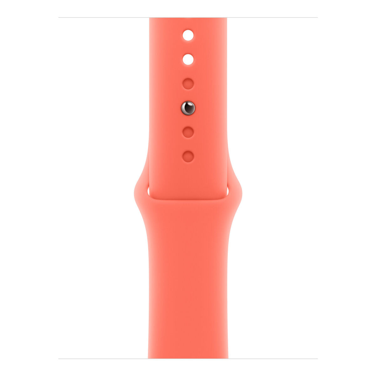 Watch Strap Apple MDT04ZM/A M/L