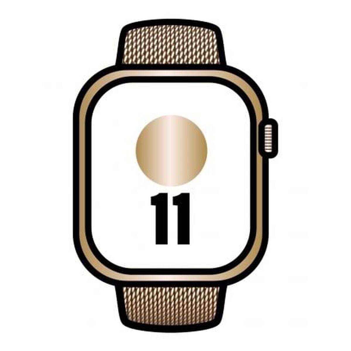 Smartwatch Apple MFD84QL/A Titanium 46 mm