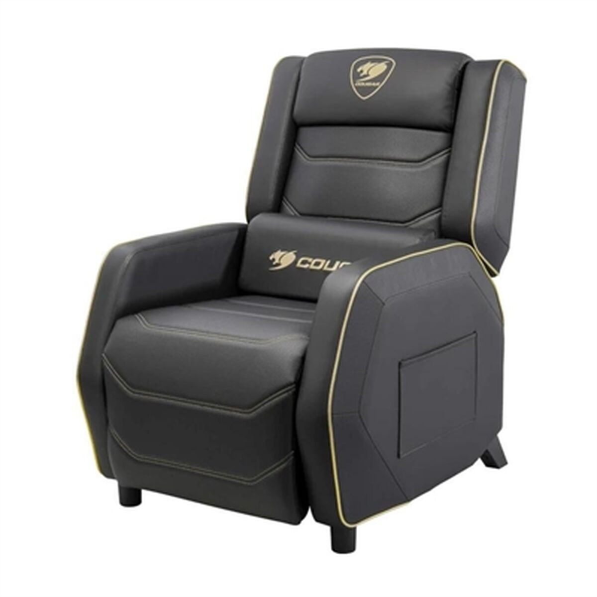 Armchair Cougar 3MRGSGLB.0001