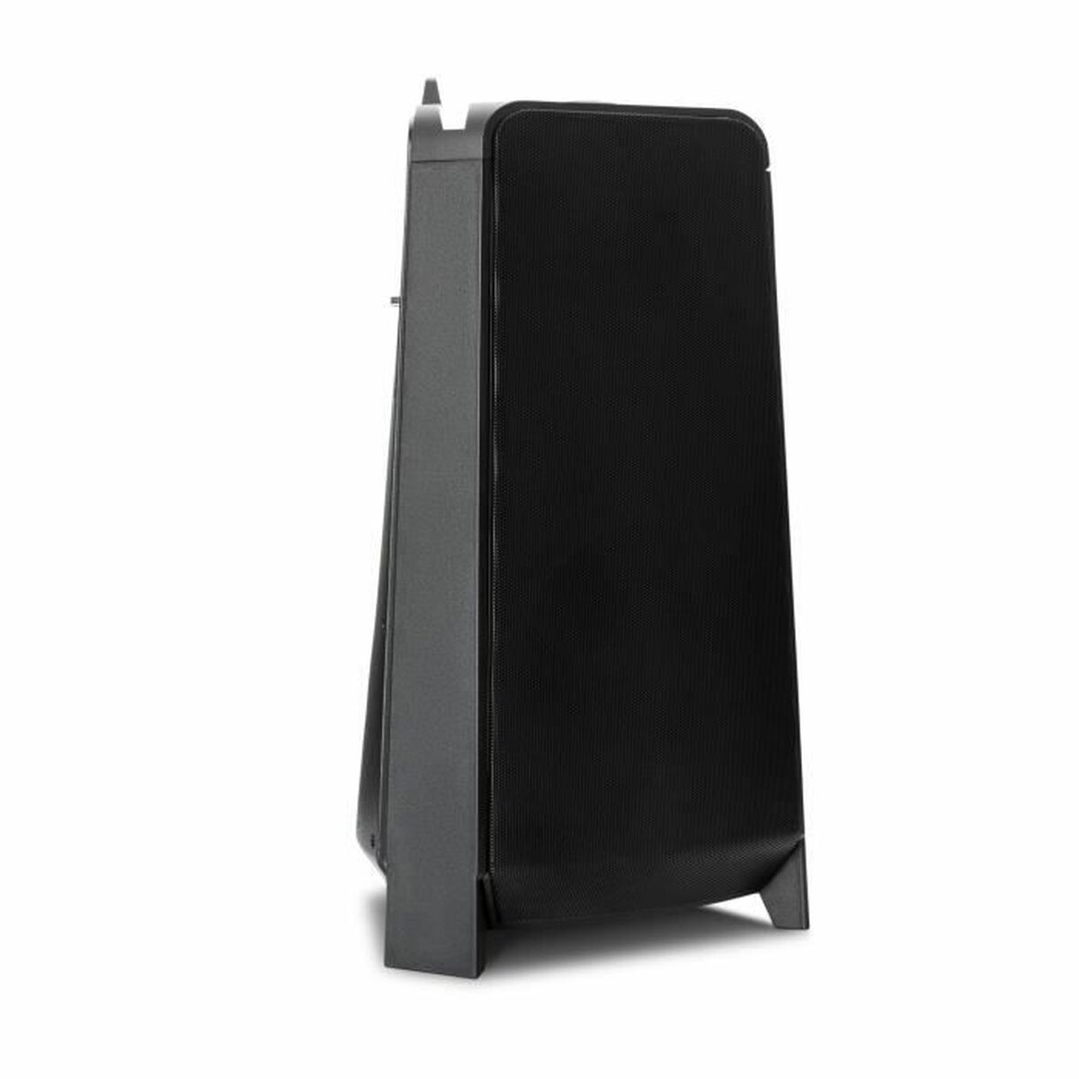 Portable Bluetooth Speakers Medion LIFE P61552 Black