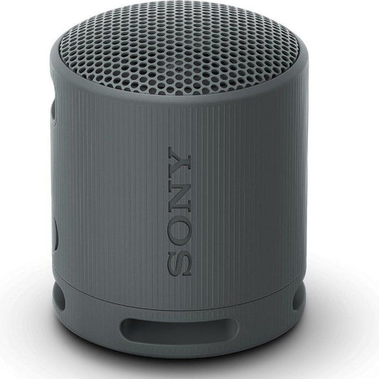Portable Bluetooth Speakers Sony XB100 Black