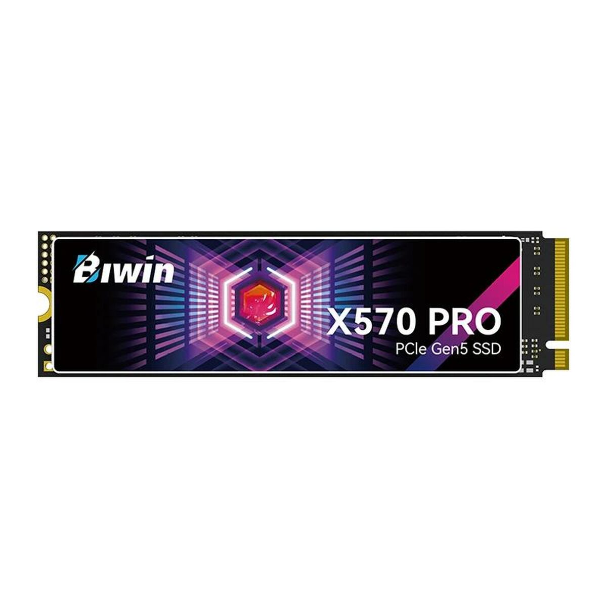 Hard Drive Biwin X570 Pro 4 TB SSD