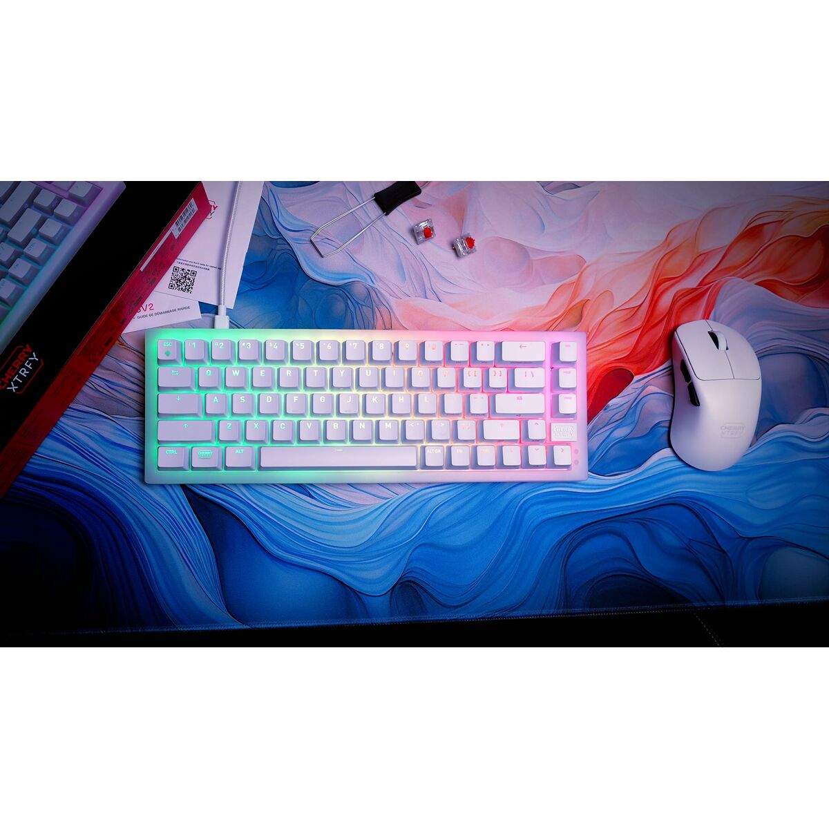 Keyboard and Mouse Cherry CXK5V2RGBCPTTPWHTRFR