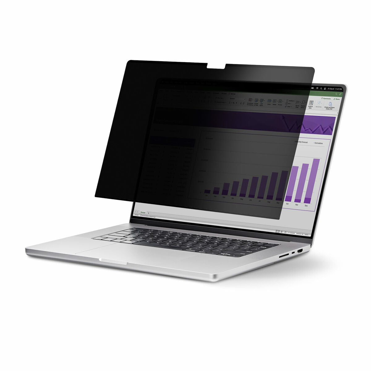 Notebook Stand Startech 133T6-PRIVACY-SCREEN Plastic